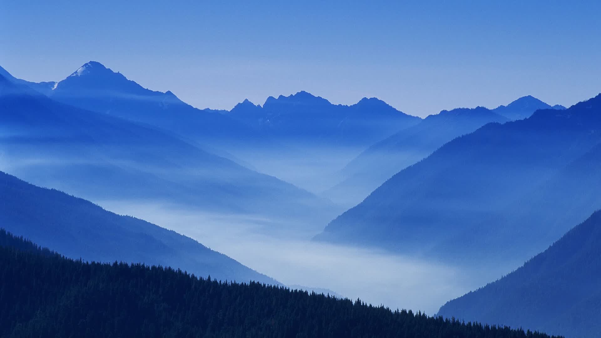 世界举重线上技战术研修班第二期报名启动,世界举重比赛现场视频